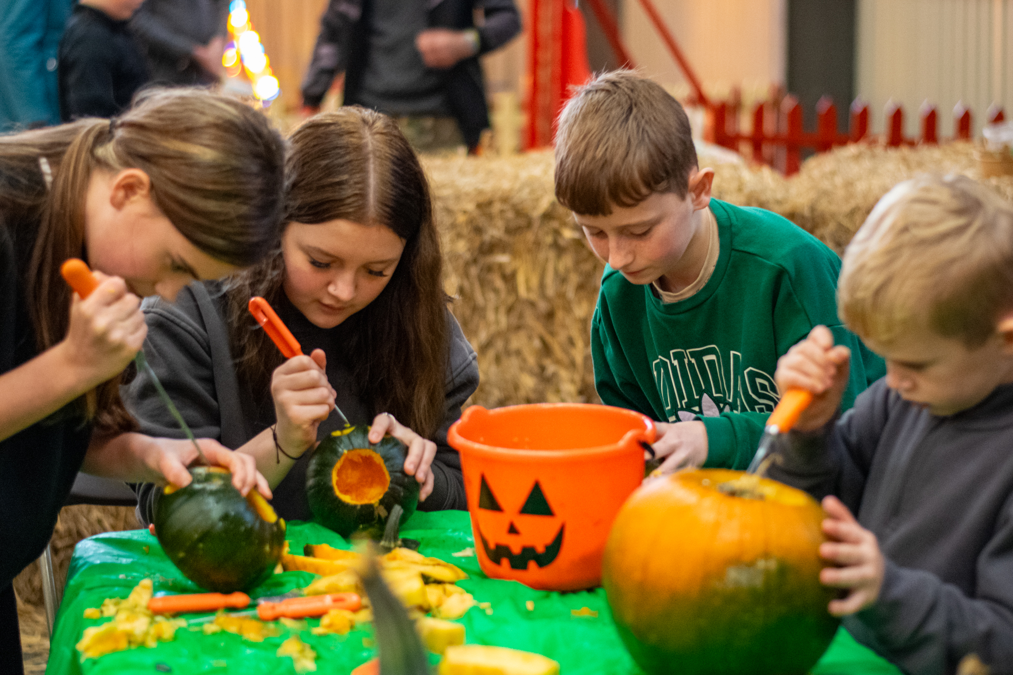 October Half Term Tapnell Farm Park 25 (1)