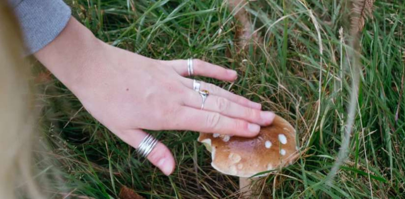 Foraging walks page 0001