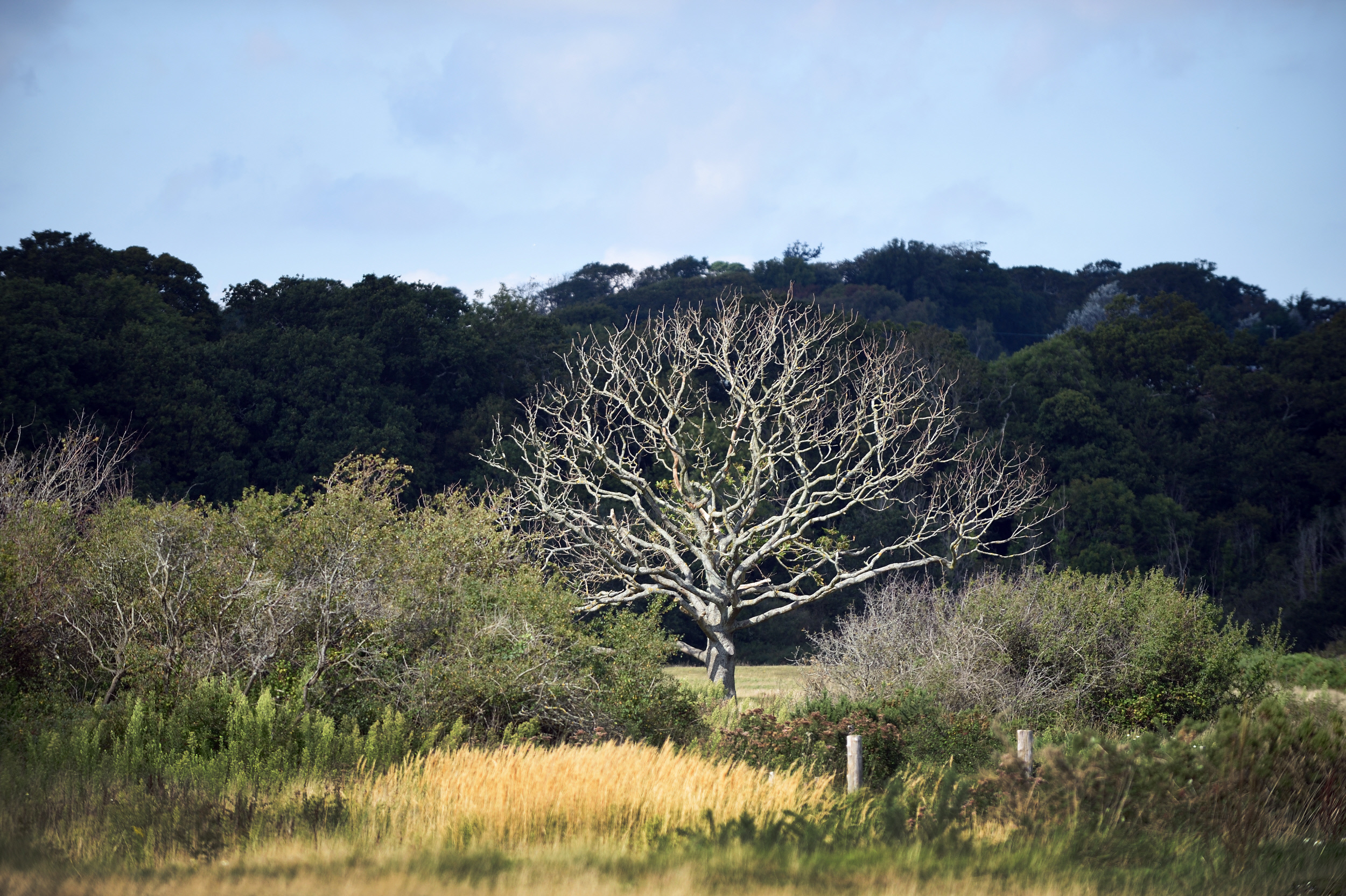 Newtown Credit John Millar