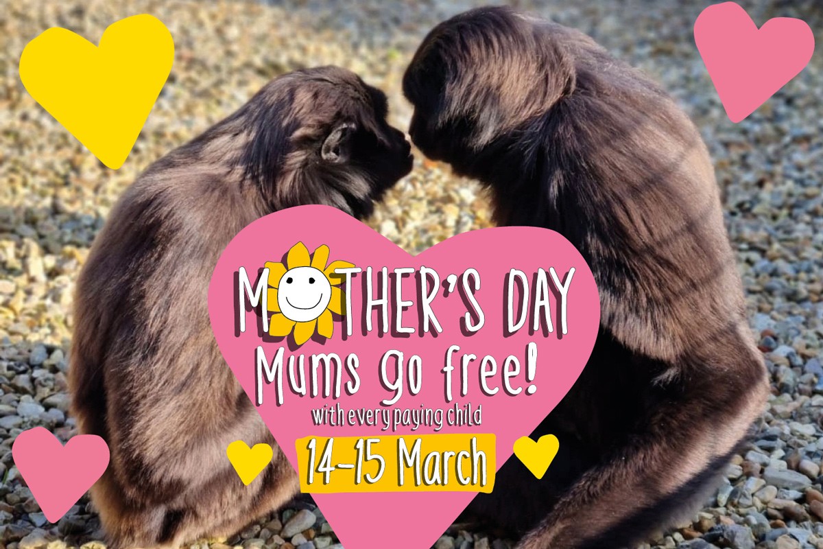 ab05aa2e d26b 460a 8af1 95778fdce588